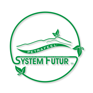 logo System Futur s.r.l.